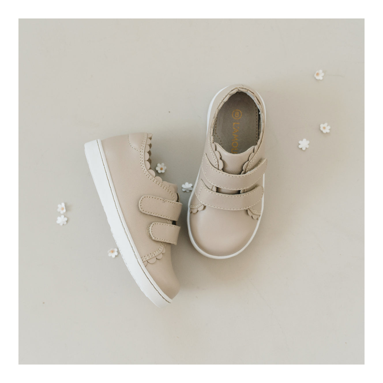 Caroline Scallop Sneaker