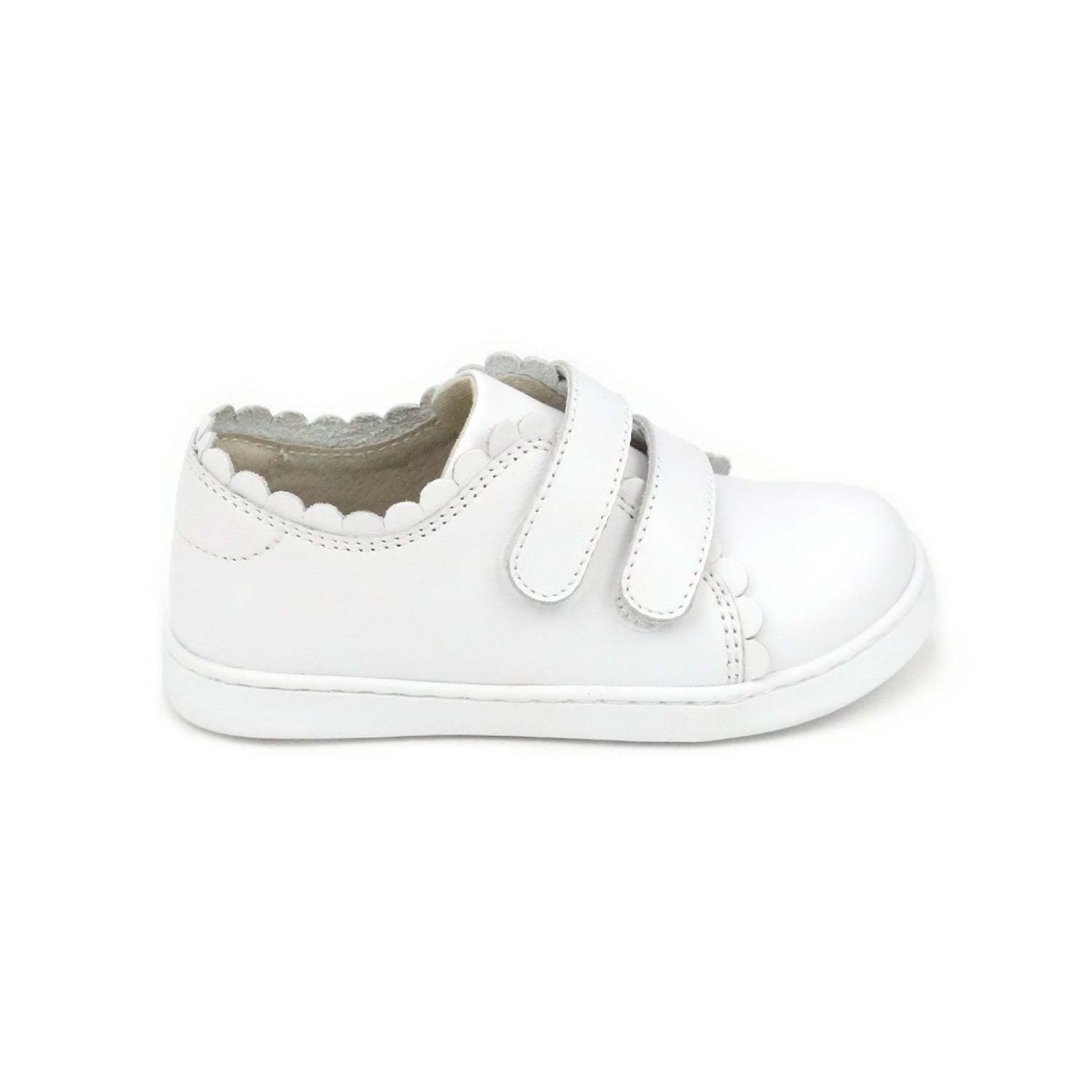 Caroline Scallop Sneaker