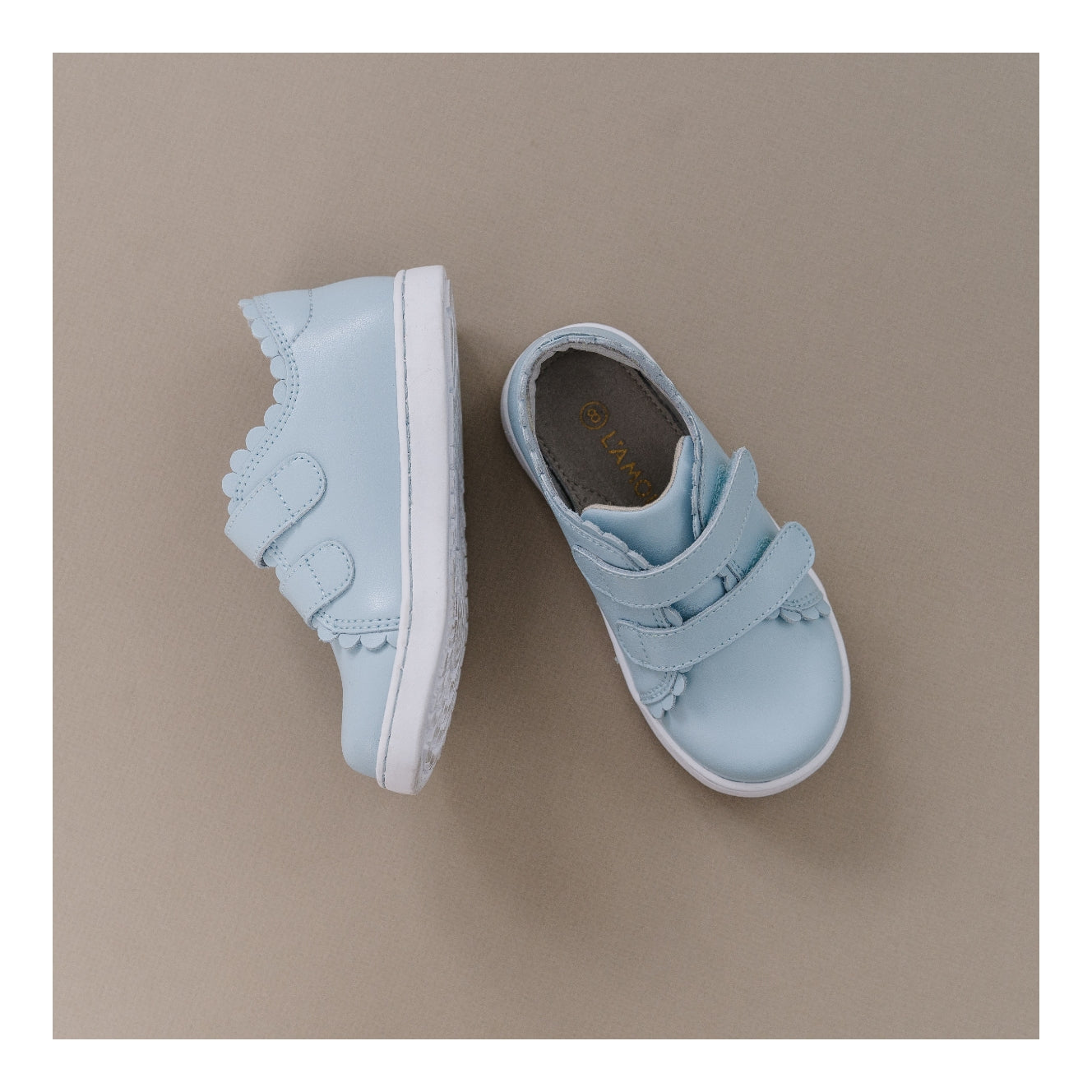 Caroline Scallop Sneaker