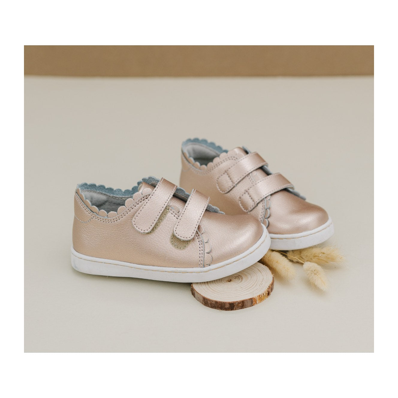 Caroline Scallop Sneaker