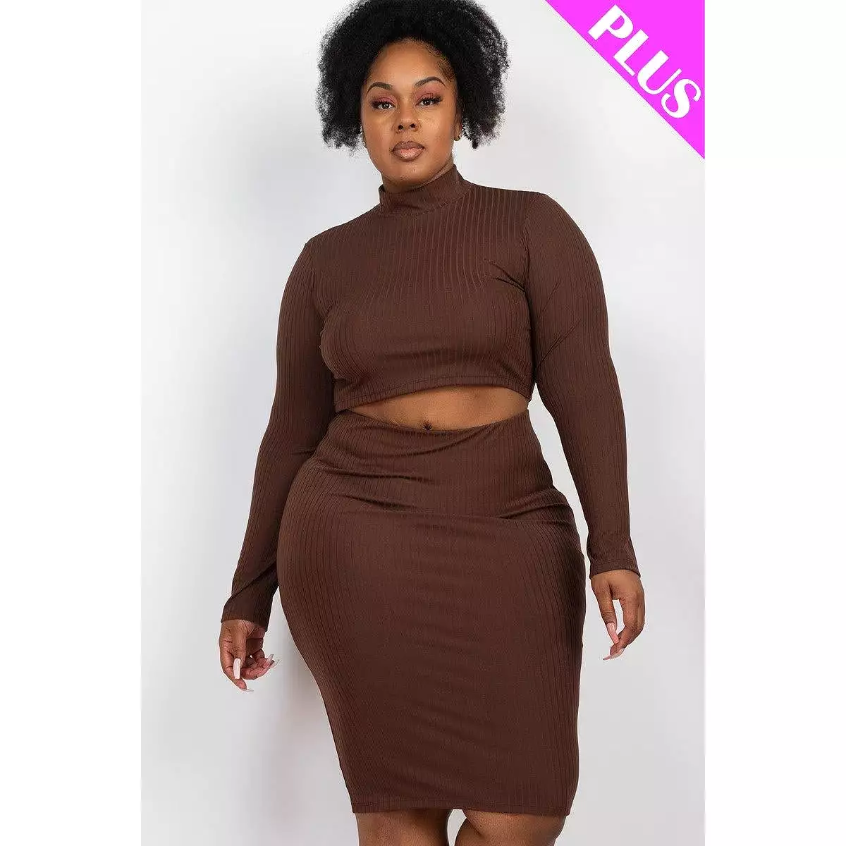 Plus Size Ribbed Mock Neck Crop Top and Midi Skirt Set